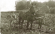 Homesteaders02_edited-1